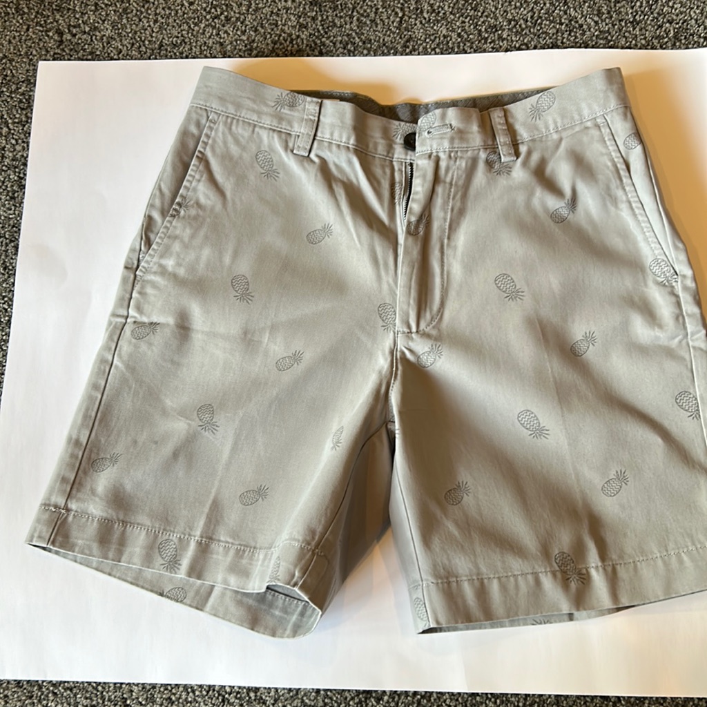 Amazon Essentials Pineapple Patterned Gray Shorts